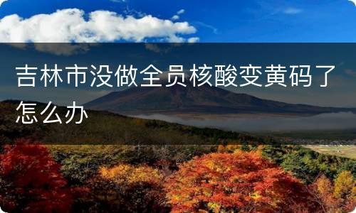 吉林市没做全员核酸变黄码了怎么办