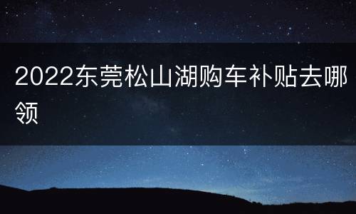 2022东莞松山湖购车补贴去哪领