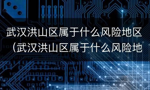 武汉洪山区属于什么风险地区（武汉洪山区属于什么风险地区呢）