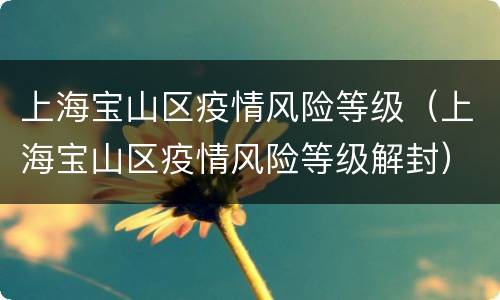 上海宝山区疫情风险等级（上海宝山区疫情风险等级解封）