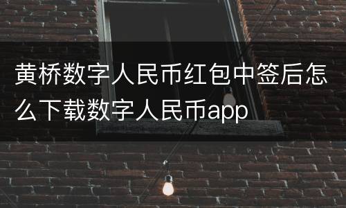 黄桥数字人民币红包中签后怎么下载数字人民币app
