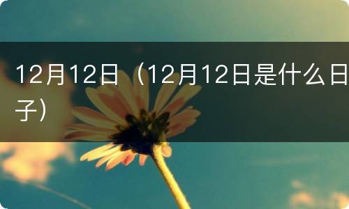 12月12日（12月12日是什么日子）