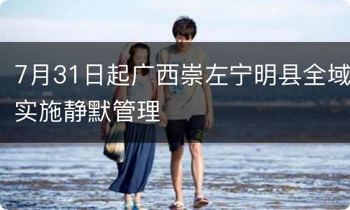 7月31日起广西崇左宁明县全域实施静默管理