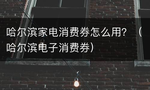 哈尔滨家电消费券怎么用？（哈尔滨电子消费券）