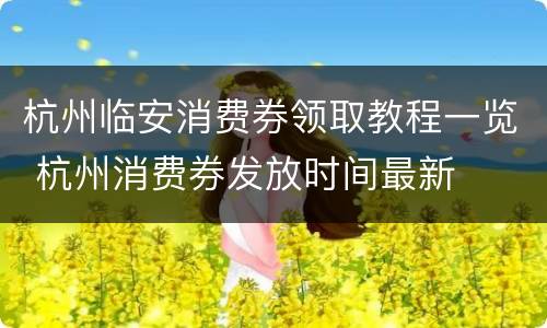 杭州临安消费券领取教程一览 杭州消费券发放时间最新