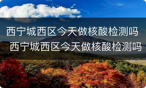 西宁城西区今天做核酸检测吗 西宁城西区今天做核酸检测吗最近