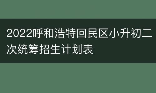 2022呼和浩特回民区小升初二次统筹招生计划表