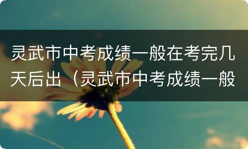 灵武市中考成绩一般在考完几天后出（灵武市中考成绩一般在考完几天后出来）