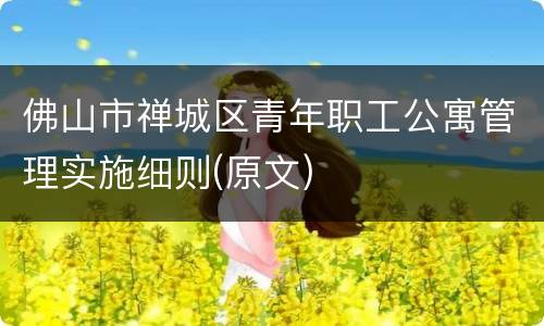 佛山市禅城区青年职工公寓管理实施细则(原文)