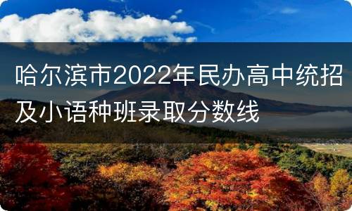 哈尔滨市2022年民办高中统招及小语种班录取分数线