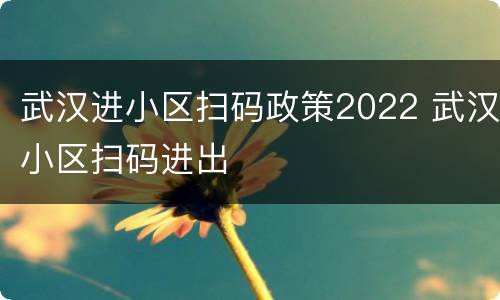 武汉进小区扫码政策2022 武汉小区扫码进出
