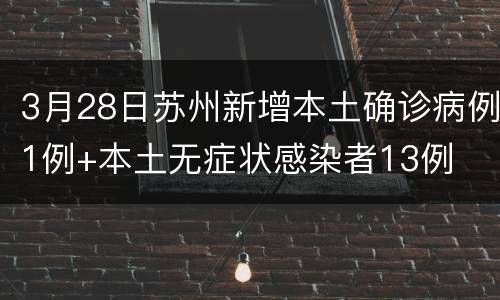 3月28日苏州新增本土确诊病例1例+本土无症状感染者13例