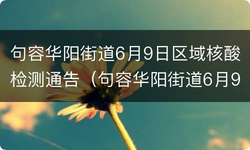 句容华阳街道6月9日区域核酸检测通告（句容华阳街道6月9日区域核酸检测通告查询）