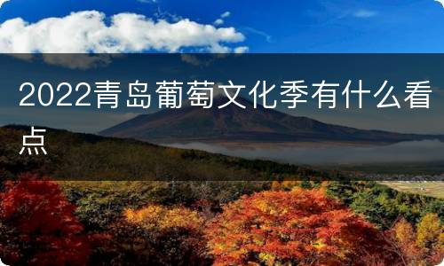 2022青岛葡萄文化季有什么看点