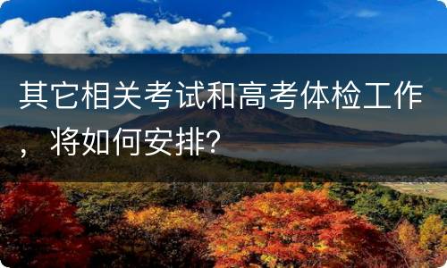 其它相关考试和高考体检工作，将如何安排？