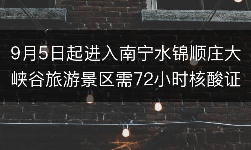 9月5日起进入南宁水锦顺庄大峡谷旅游景区需72小时核酸证明
