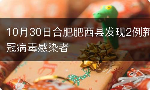 10月30日合肥肥西县发现2例新冠病毒感染者