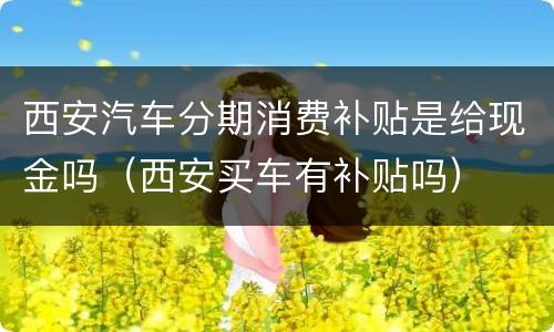 西安汽车分期消费补贴是给现金吗（西安买车有补贴吗）