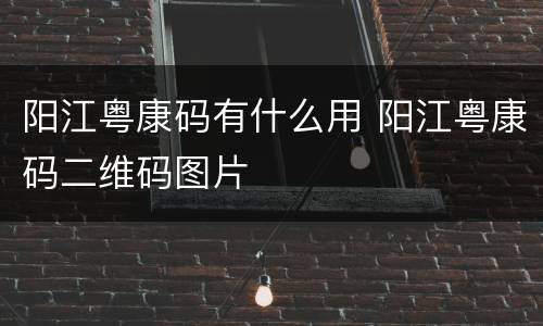 阳江粤康码有什么用 阳江粤康码二维码图片