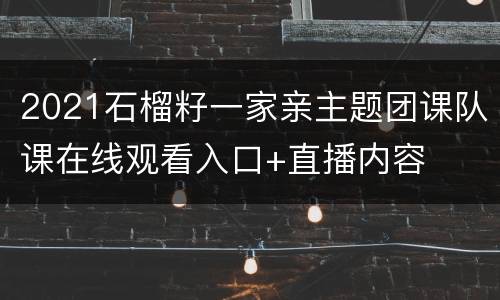 2021石榴籽一家亲主题团课队课在线观看入口+直播内容