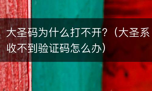大圣码为什么打不开?（大圣系收不到验证码怎么办）