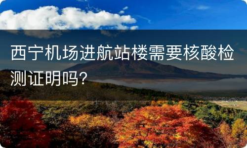 西宁机场进航站楼需要核酸检测证明吗？