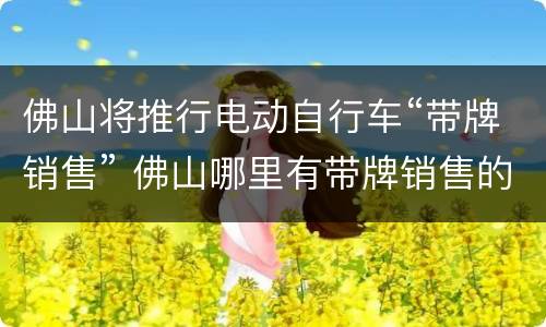 佛山将推行电动自行车“带牌销售” 佛山哪里有带牌销售的电动自行车