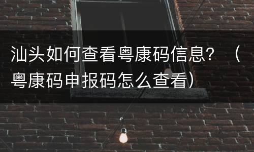 汕头如何查看粤康码信息？（粤康码申报码怎么查看）