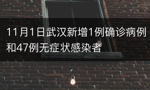 11月1日武汉新增1例确诊病例和47例无症状感染者