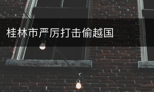 桂林市严厉打击偷越国