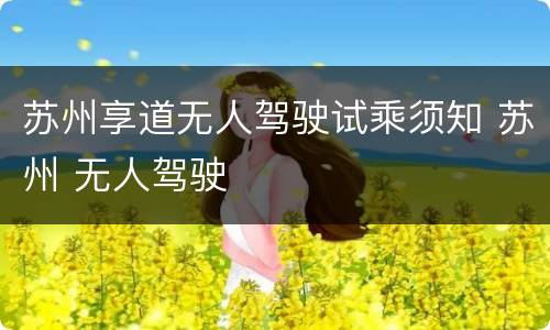 苏州享道无人驾驶试乘须知 苏州 无人驾驶
