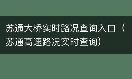 苏通大桥实时路况查询入口（苏通高速路况实时查询）