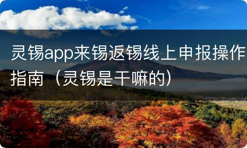 灵锡app来锡返锡线上申报操作指南（灵锡是干嘛的）