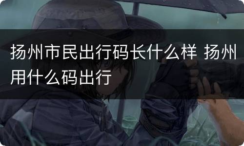 扬州市民出行码长什么样 扬州用什么码出行