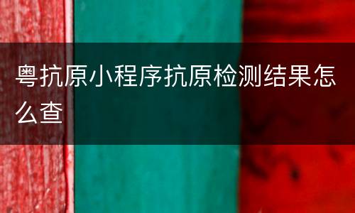 粤抗原小程序抗原检测结果怎么查