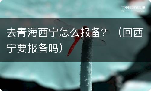 去青海西宁怎么报备？（回西宁要报备吗）