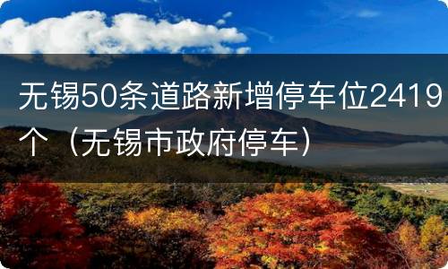 无锡50条道路新增停车位2419个（无锡市政府停车）