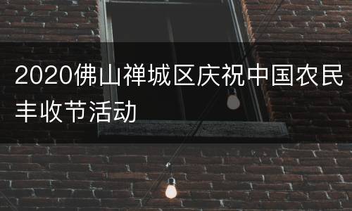 2020佛山禅城区庆祝中国农民丰收节活动