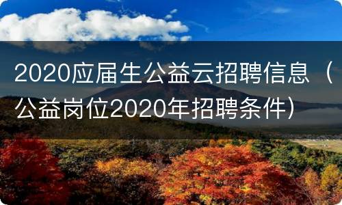 2020应届生公益云招聘信息（公益岗位2020年招聘条件）