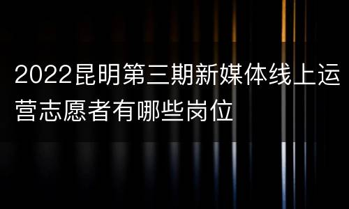 2022昆明第三期新媒体线上运营志愿者有哪些岗位