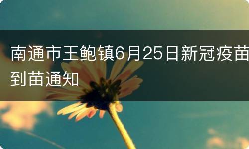 南通市王鲍镇6月25日新冠疫苗到苗通知