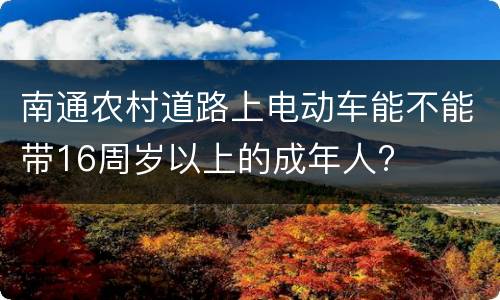 南通农村道路上电动车能不能带16周岁以上的成年人?