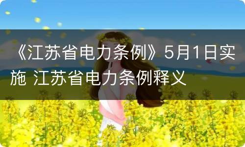 《江苏省电力条例》5月1日实施 江苏省电力条例释义