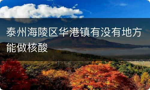 泰州海陵区华港镇有没有地方能做核酸