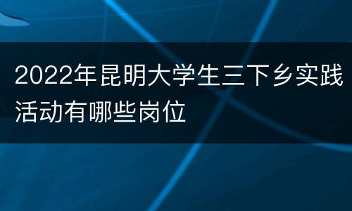 2022年昆明大学生三下乡实践活动有哪些岗位