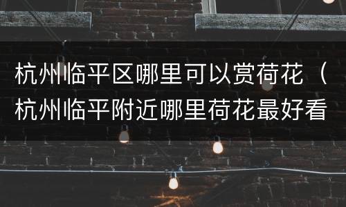 杭州临平区哪里可以赏荷花（杭州临平附近哪里荷花最好看）
