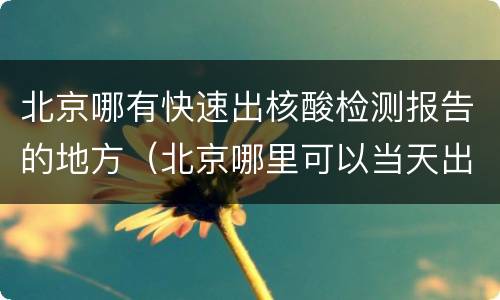 北京哪有快速出核酸检测报告的地方（北京哪里可以当天出核酸检测报告）