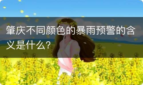肇庆不同颜色的暴雨预警的含义是什么？