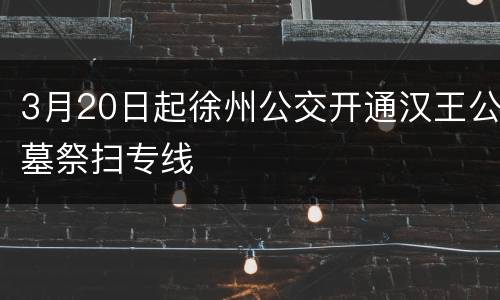 3月20日起徐州公交开通汉王公墓祭扫专线
