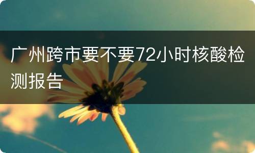 广州跨市要不要72小时核酸检测报告